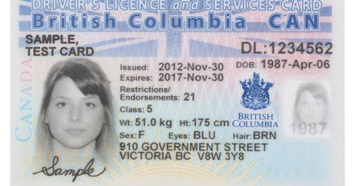 Canadian Driver License Format